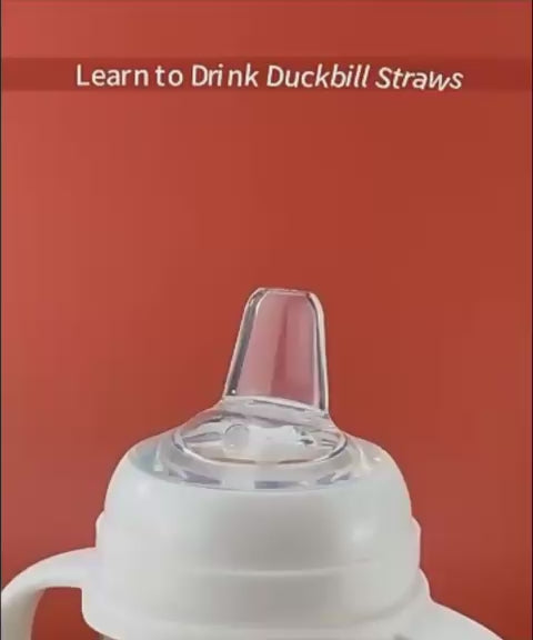 Safekido PPSU caliber glass Duckbill Nipple baby feeding bottle